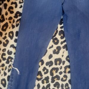 American Eagle Outfitters Blue Skinny Jeans